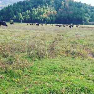 Meet your Posher, Jon